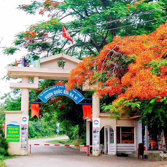 Check in tại cổng vườn quốc gia ba vì với không gian tươi mới