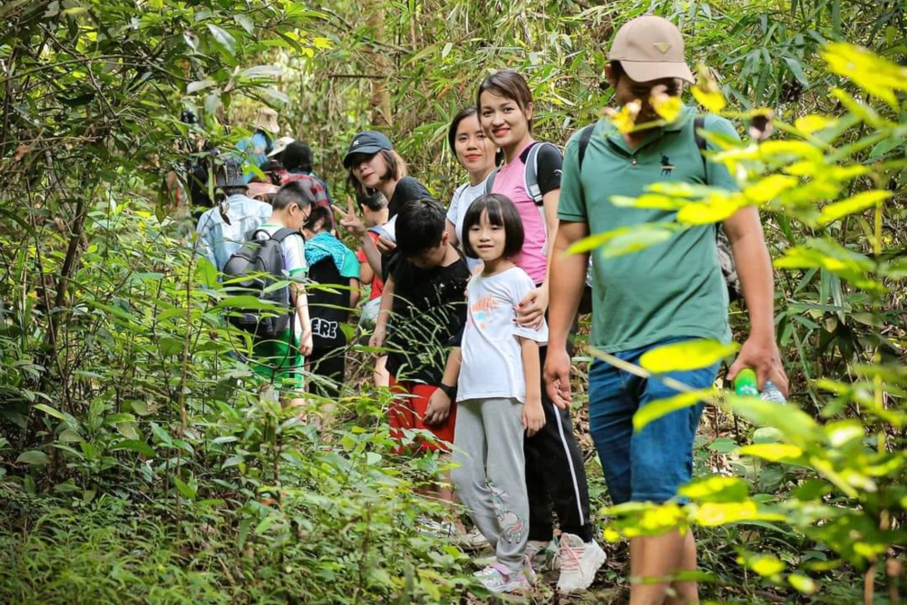 Vườn quốc gia tam đảo thuộc tỉnh nào là câu hỏi của nhiều người khi du lịch