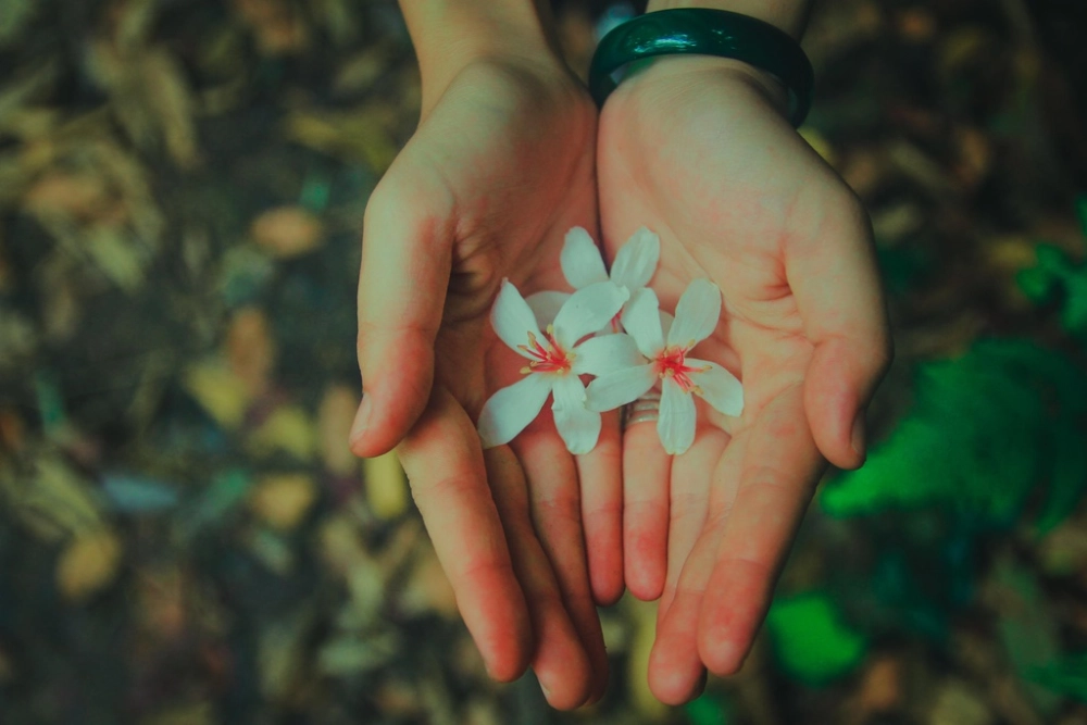 Chiêm ngưỡng vẻ đẹp hùng vĩ qua hình ảnh của vườn quốc gia tam đảo
