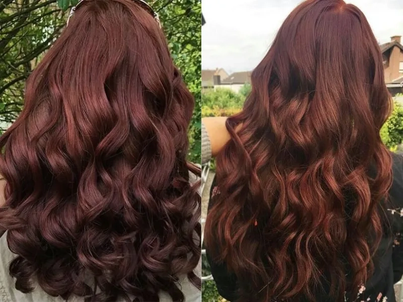 Nâu socola sự lựa chọn hoàn hảo