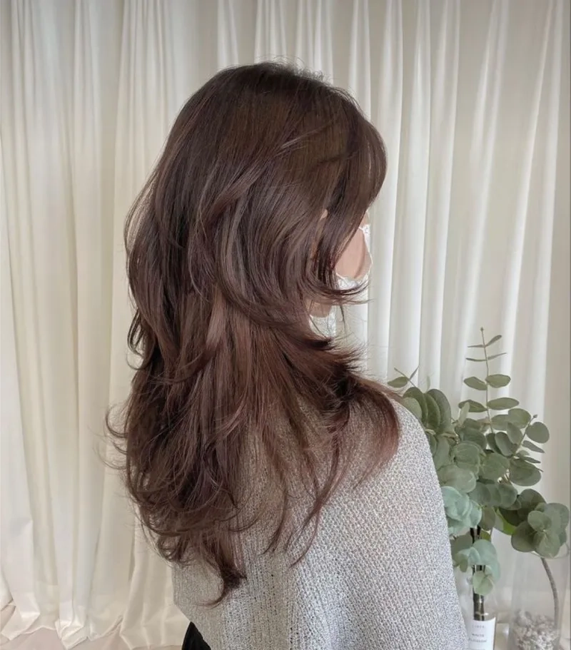 Nâu hạt dẻ phai ra màu gì câu trả lời sẽ khiến bạn bất ngờ