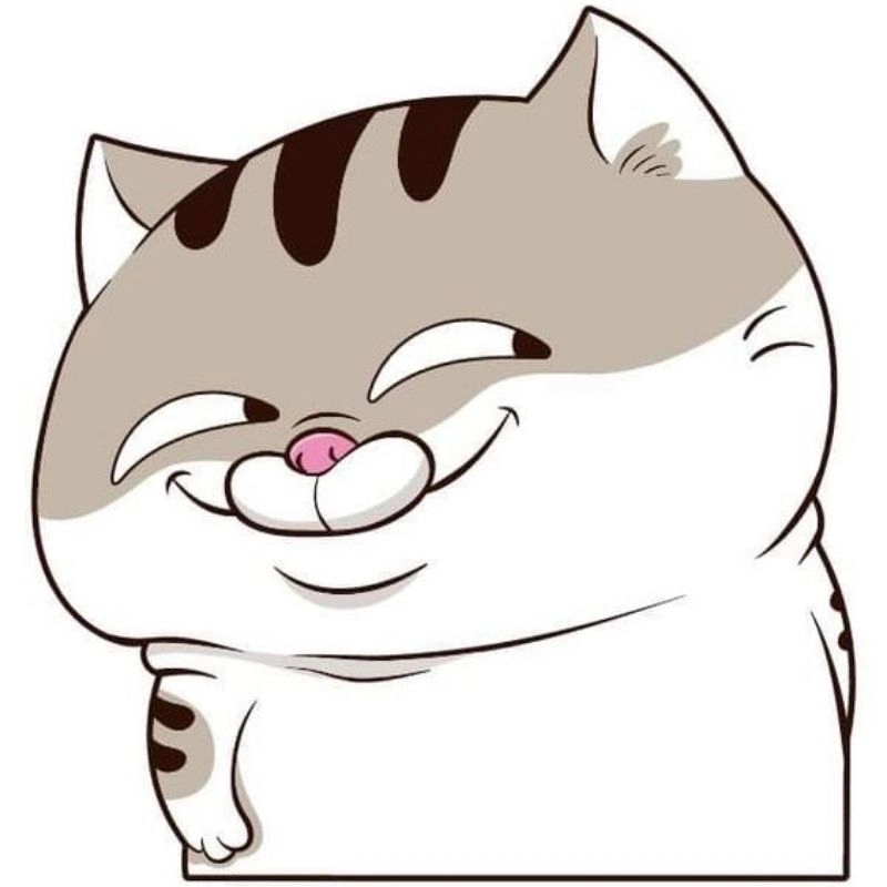 Hình avatar mèo lông xù ngọt ngào cuốn hút