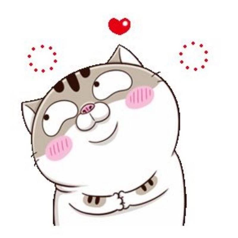 Avatar mèo cute meme troll nhẹ dễ thương