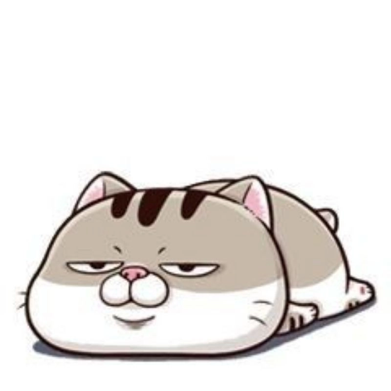 Avatar mèo cute anime tai cụp dễ thương