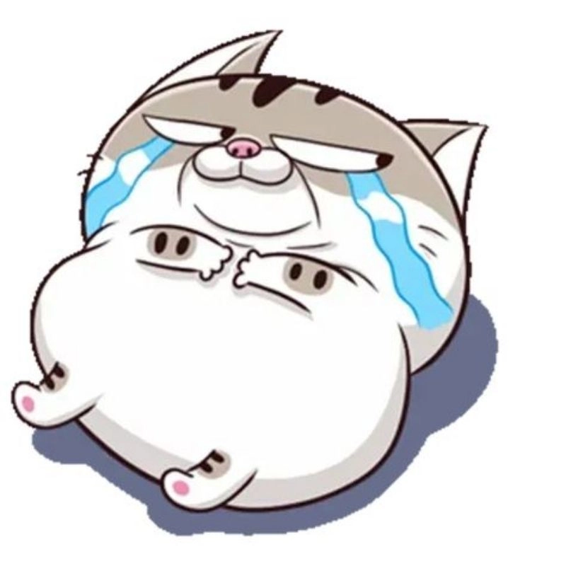 Avatar mèo bí ẩn ngầu dễ thương cuốn hút