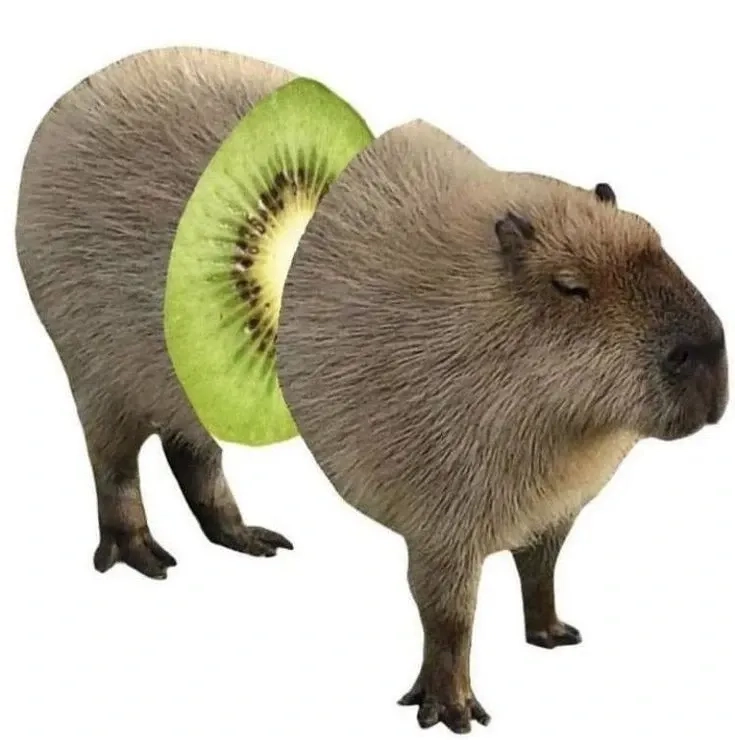Meme capybara màu hồng cute ngố tàu đáng yêu