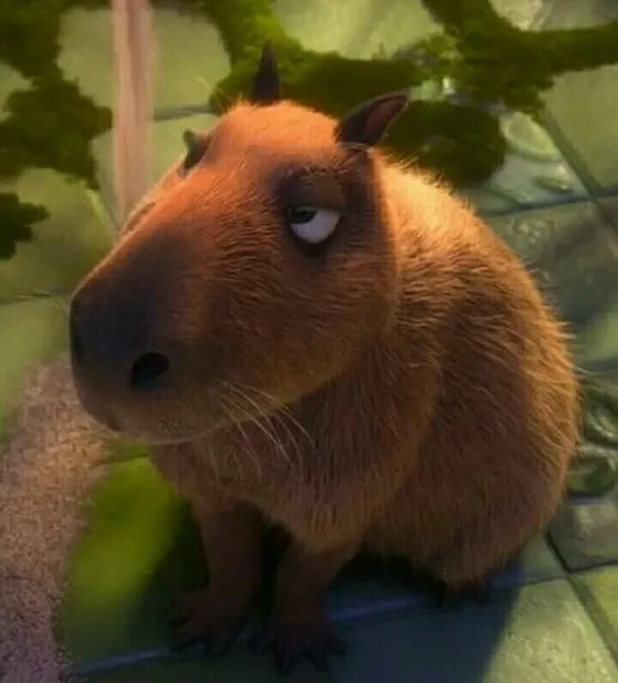 Ảnh capybara meme dễ thương ngố siêu troll