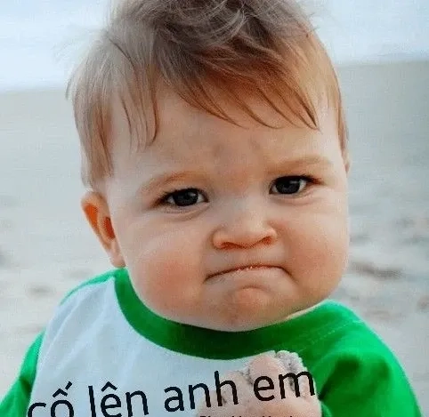 Quyết tâm meme troll mặt nghị lực cười ngất