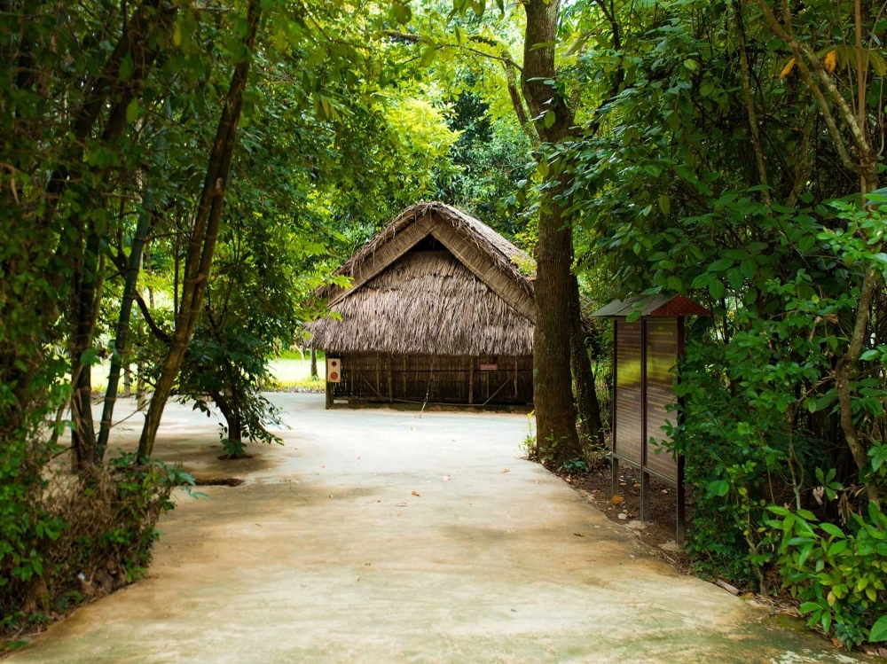 Làng sen kim liên quê nội bác hồ đẹp