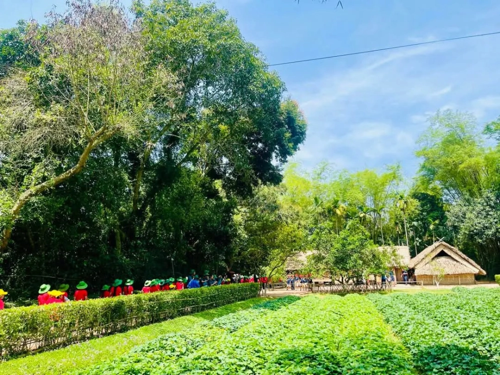 Ảnh khu di tích Kim Liên ghi lại không gian làng quê yên bình.