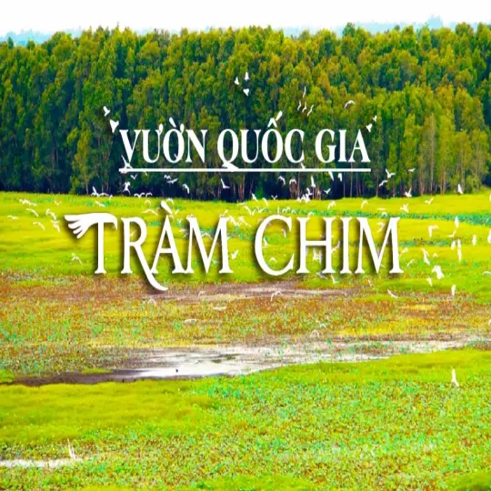 Trải nghiệm mùa nước nổi tại vườn Quốc gia Tràm Chim