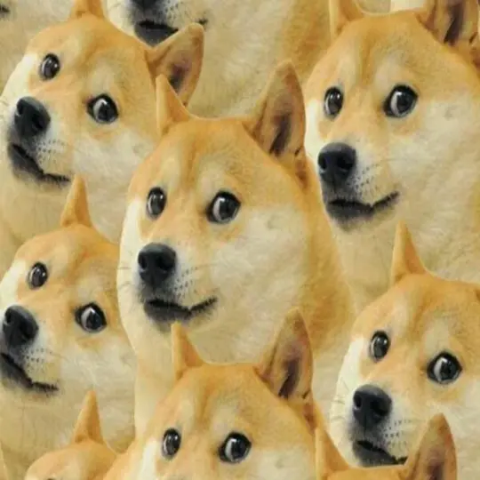 Meme chó hài bùng nổ niềm vui qua bộ ảnh nghệ thuật mới