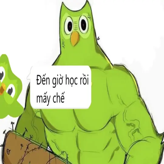 Duolingo meme bùng nổ hài hước qua bộ ảnh nghệ thuật mới
