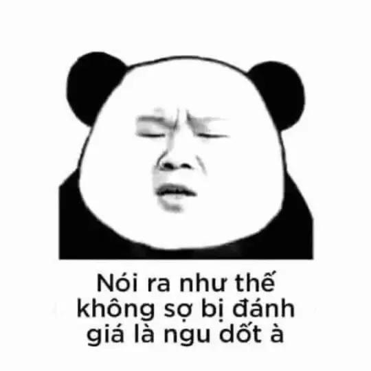 Gấu trúc bựa bùng nổ hài hước qua bộ ảnh nghệ thuật