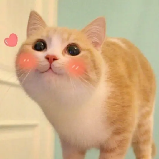 Meme mèo cute bùng nổ đáng yêu qua bộ ảnh nghệ thuật mới