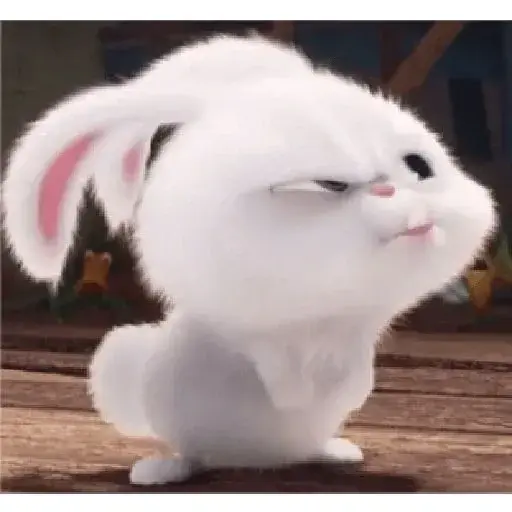 Thỏ Snowball bùng nổ đáng yêu qua bộ sưu tập ảnh nghệ thuật