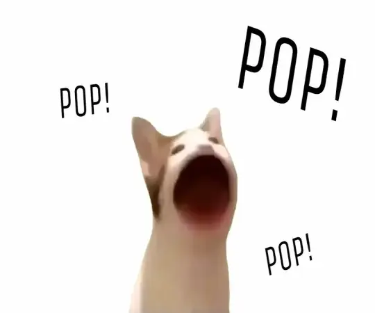 Mèo Vô Tri meme bùng nổ cảm xúc qua bộ ảnh nghệ thuật