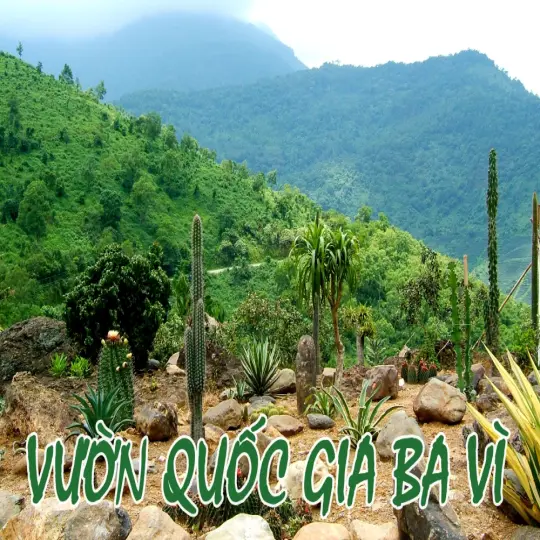Vườn Quốc gia Ba Vì - Hành trình trở về với núi rừng