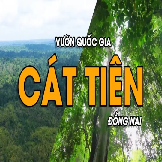 Khám phá Cát Tiên - Vẻ đẹp của rừng già và động vật hoang dã