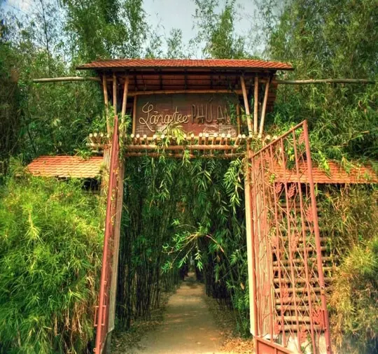 Làng tre Phú An - Du lịch xanh với không gian thanh bình