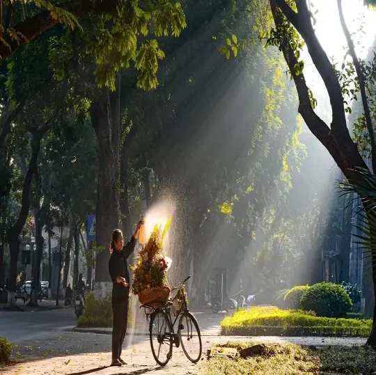 Vẻ đẹp thanh lịch của phố Phan Đình Phùng giữa lòng thủ đô