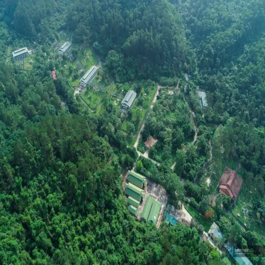 Trải nghiệm trekking thú vị ở vườn Quốc gia Tam Đảo