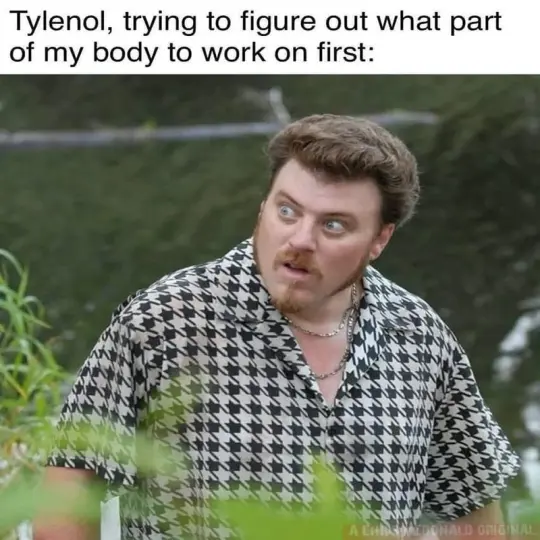 Really meme hài hước khiến cộng đồng mạng cười bùng nổ