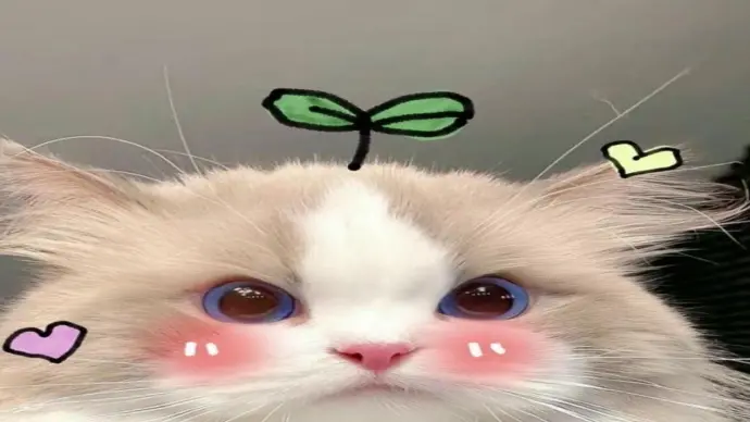 Avatar meme bùng nổ cá tính qua bộ sưu tập ảnh nghệ thuật