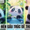 Ảnh Nền Avatar Gấu Cute: Bộ Sưu Tập Đáng Yêu Cho Năm 2026