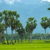 Khám phá An Giang 6 địa điểm du lịch không thể bỏ lỡ