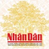 Khu Di Tích Khảo Cổ Cù Lao Rùa Di Sản 3000 Năm Tuổi
