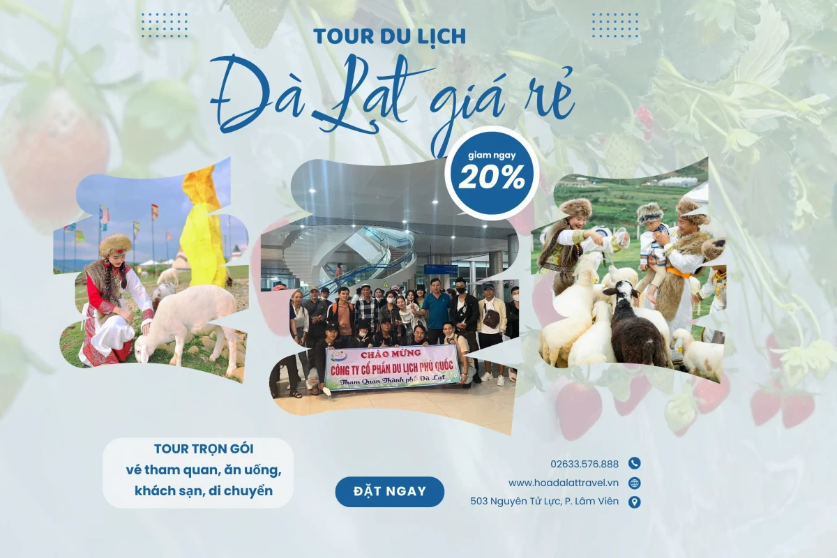 Khám phá Đà Lạt: Top những điểm du lịch hấp dẫn không thể bỏ lỡ