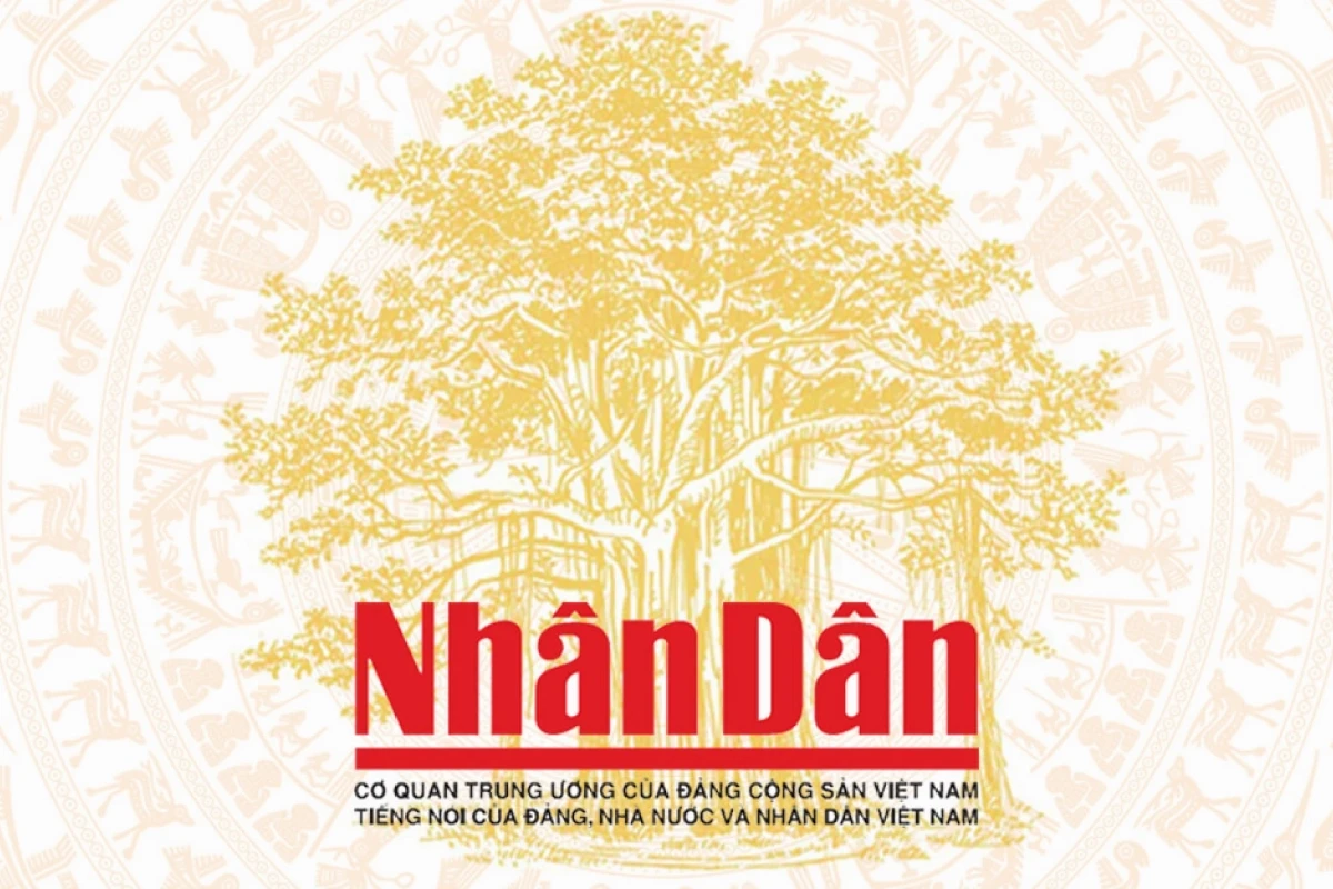 Khu Di Tích Khảo Cổ Cù Lao Rùa Di Sản 3000 Năm Tuổi