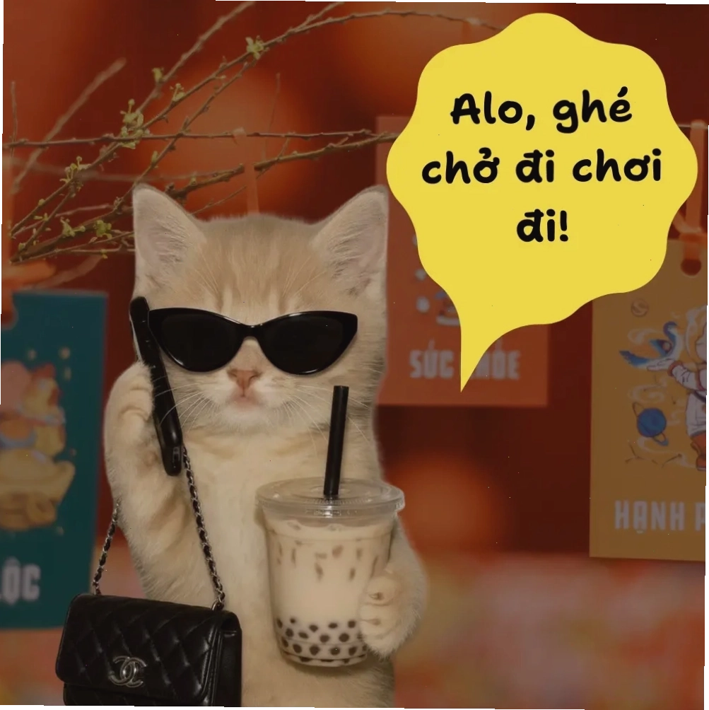 Ảnh chế hài hước mèo cầm ly trà sữa, đeo kính mát, nghe điện thoại sang chảnh rủ đi chơi Tết