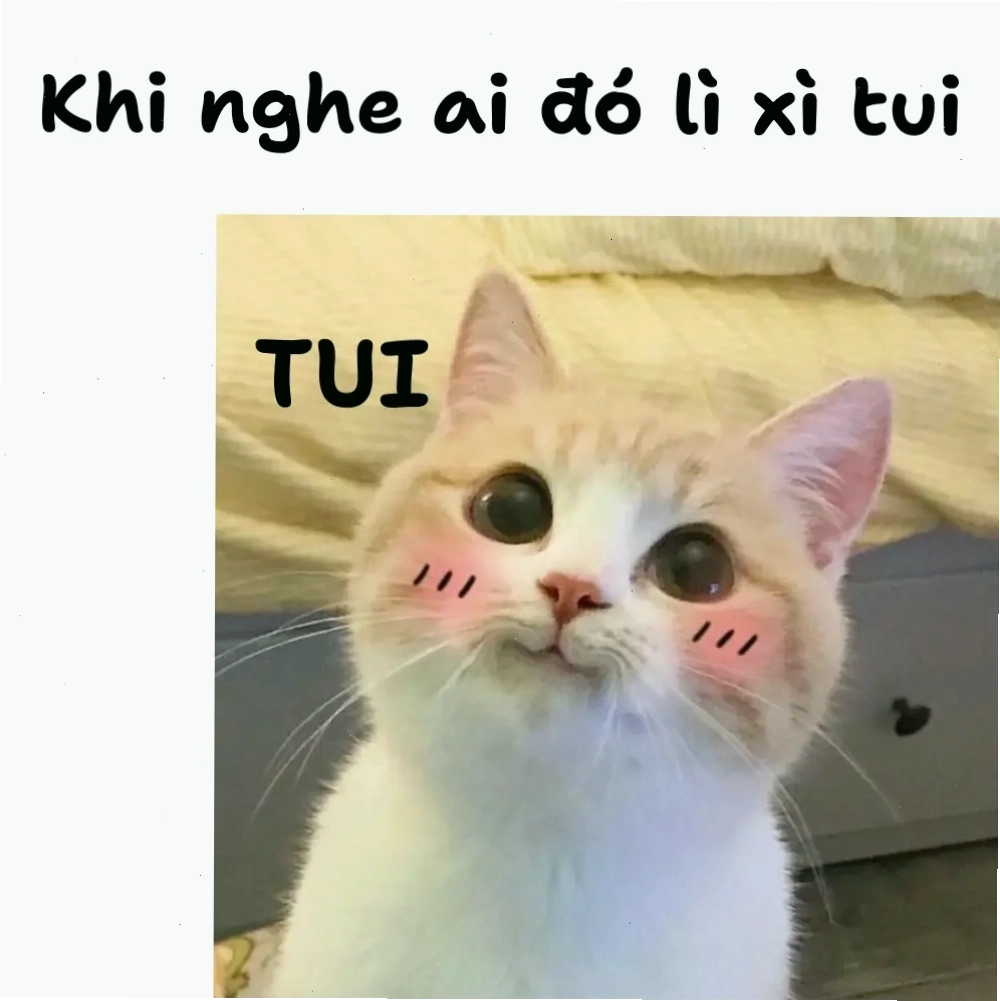 Ảnh chế mèo hài hước xin lì xì Tết dễ thương