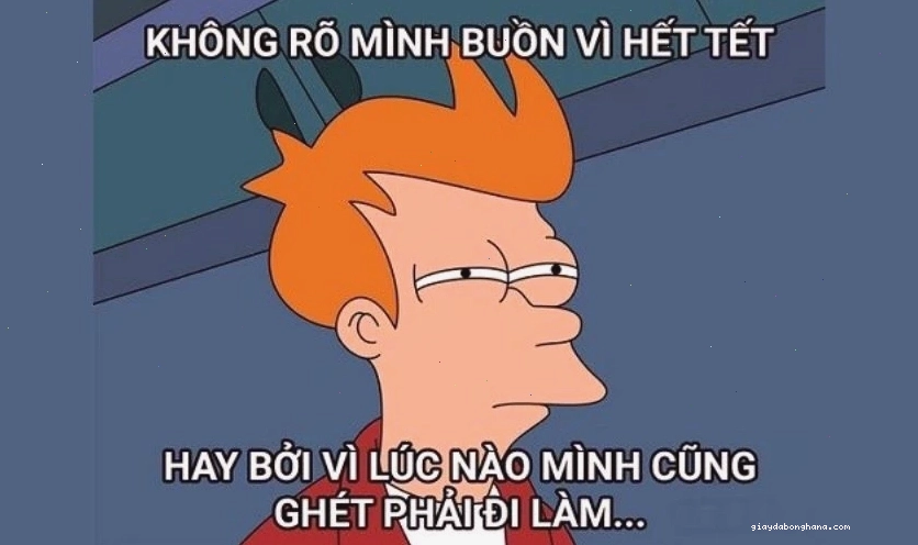 Ảnh chế Tết 2026 hài hước