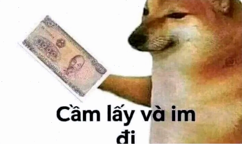 Ảnh meme mèo bựa với biểu cảm "khinh bỉ"