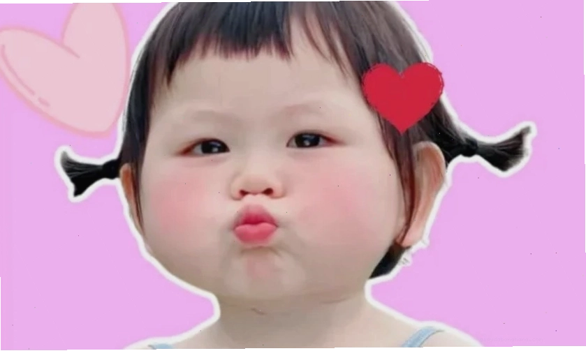 Ảnh meme mèo cute đang ngủ say