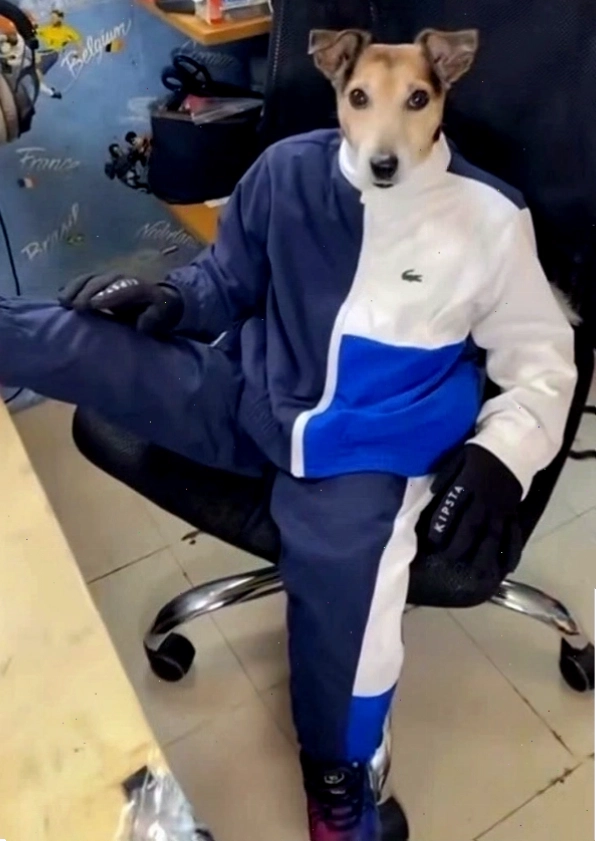 Ảnh Sigma Boy thể hiện sự bí ẩn và khó đoán, tạo nên sức hút đặc biệt