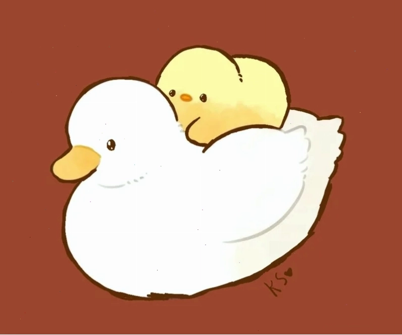 Ảnh vịt chibi cute làm ảnh bìa mạng xã hội