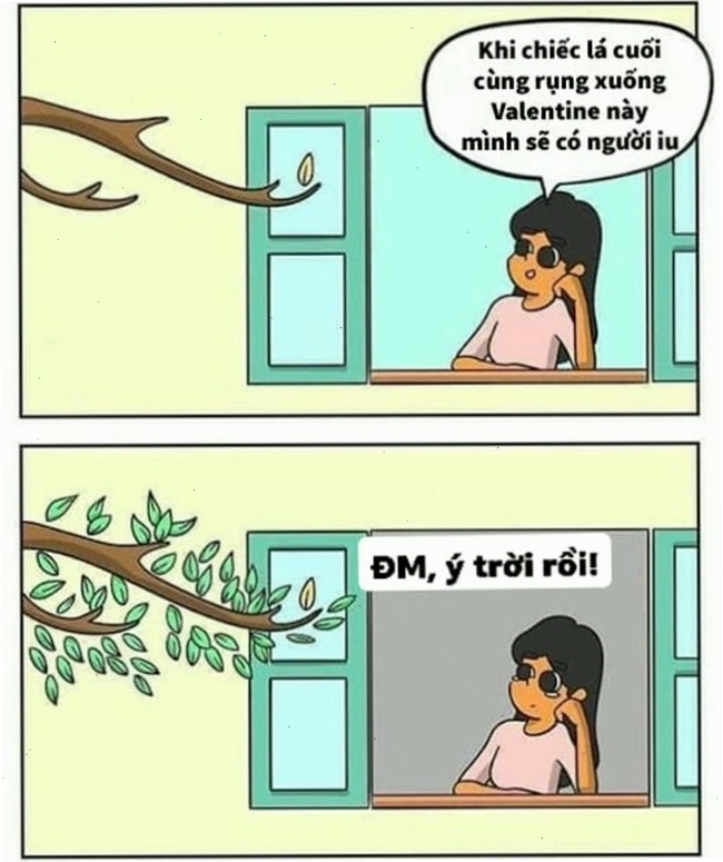 Ảnh ý trời meme hài hước
