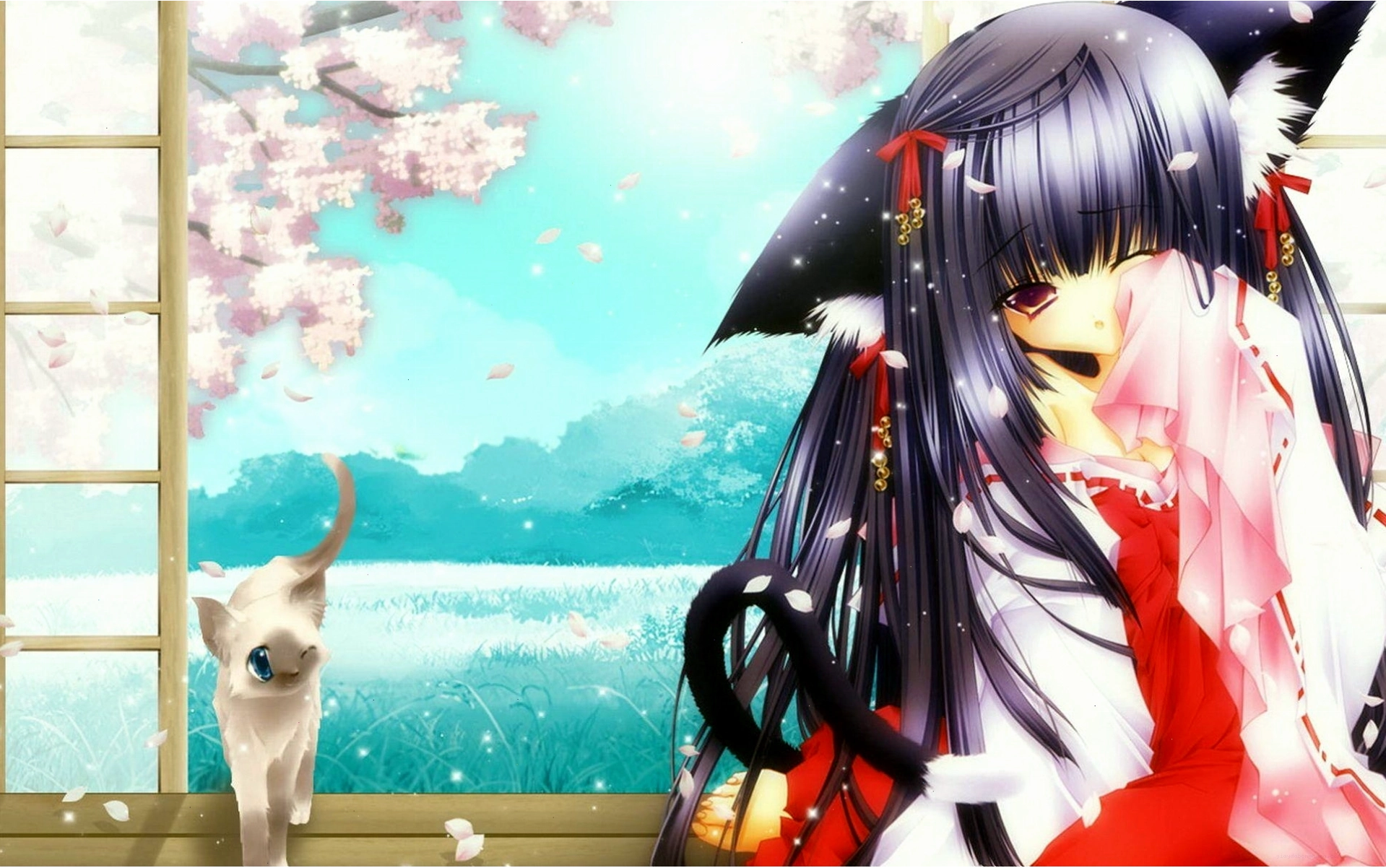 Anime Cat Girl Wallpaper