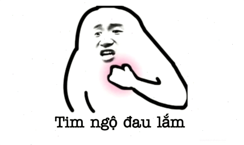 Avatar meme mèo biểu cảm hài hước mặt ngơ ngác