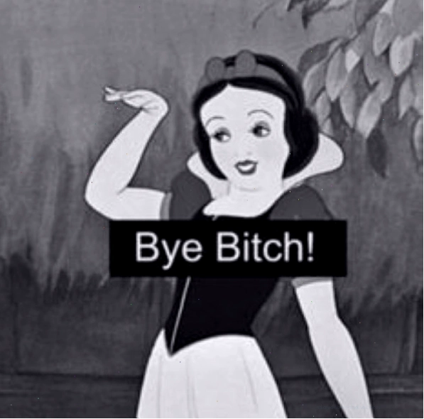 Biểu cảm bye bye hài hước của chú mèo