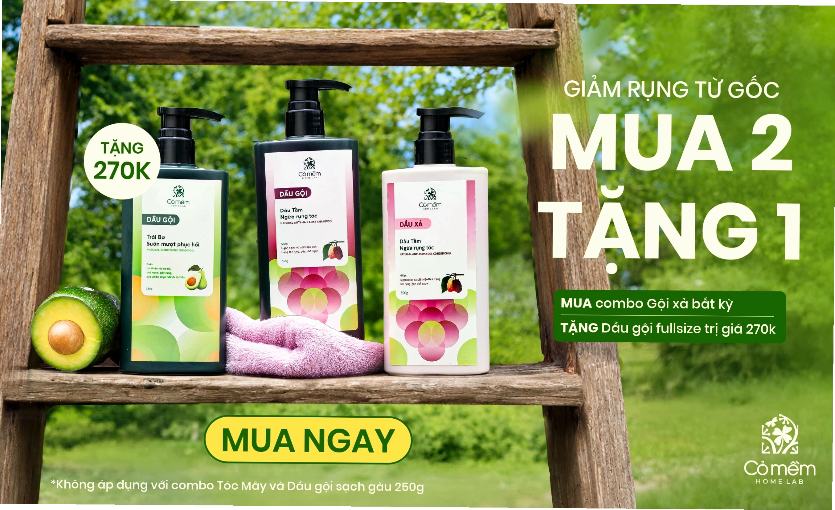 Biểu đồ so sánh các tông màu nâu cam và yêu cầu tẩy tóc