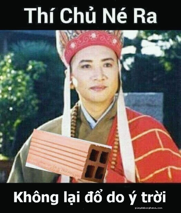 Bộ sưu tập ảnh chế ý trời meme hài hước