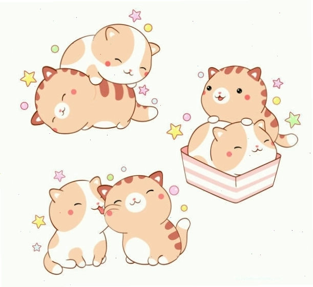 Bộ sưu tập hai chú mèo nhỏ đáng yêu phong cách kawaii