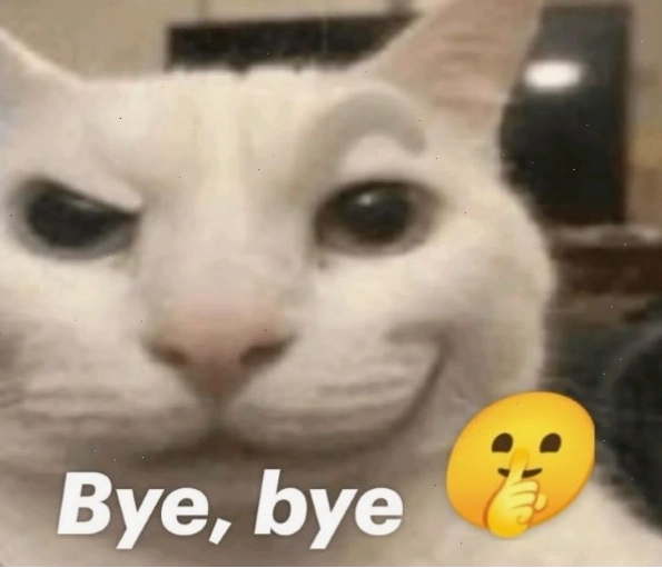 Bye meme gif độc đáo