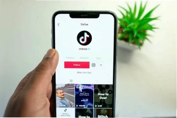 Các bước đơn giản để tạo ảnh đại diện TikTok trong suốt