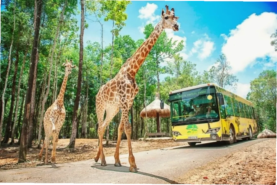 Các loài động vật đa dạng tại Vinpearl Safari Phú Quốc